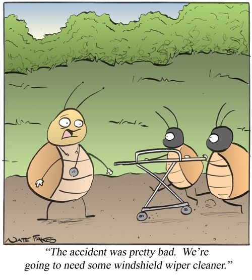 "This accident was pretty bad. We're going to need some windshield wiper cleaner."