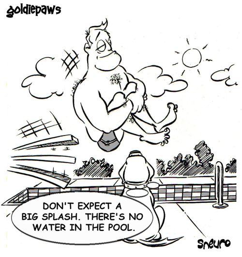Don't expect a big splash. There's no water in the pool.