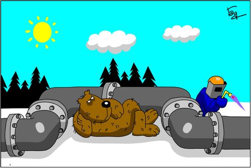 Pipeline bends around a bear.