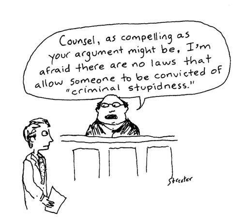 Criminal Stupidness