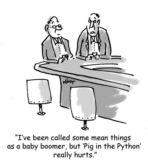 'I've been called some mean things as a baby boomer, but 'Pig in the Python' really hurts.'