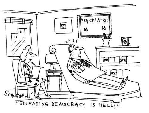'Spreading Democracy is hell!'