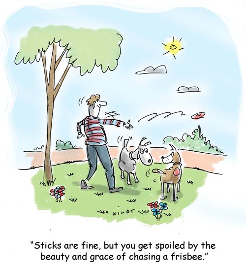 'Sticks are fine, but you get spoiled by the beauty and grace of chasing a frisbee.'
