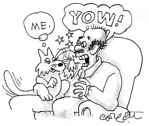 Cat-ME- swats man-YOW!'