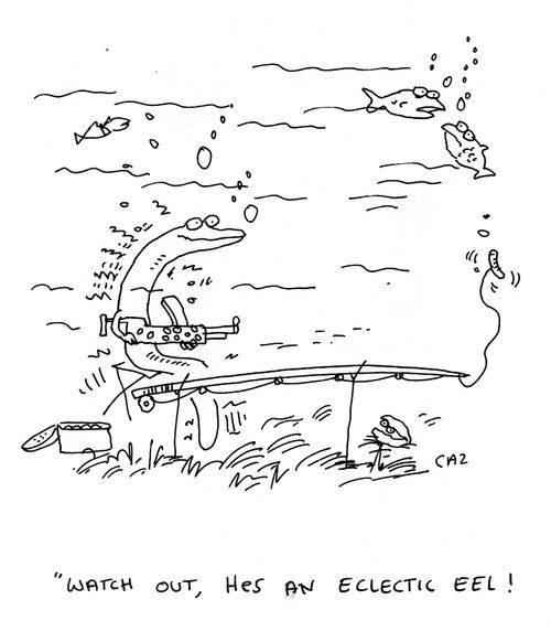 'Watch out, he's an eclectic eel!'