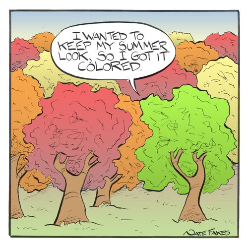 "I wanted to keep my summer look, so I got it colored."