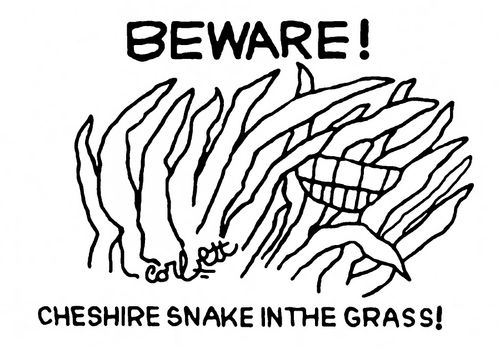 BEWARE! Cheshire snake in the grass!