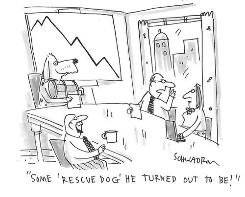 "Some 'Rescue Dog' he turned out to be!"