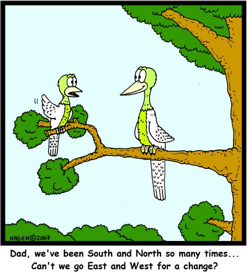 'Dad, we've been South and North so many times... Can't we go East and West for a change?'