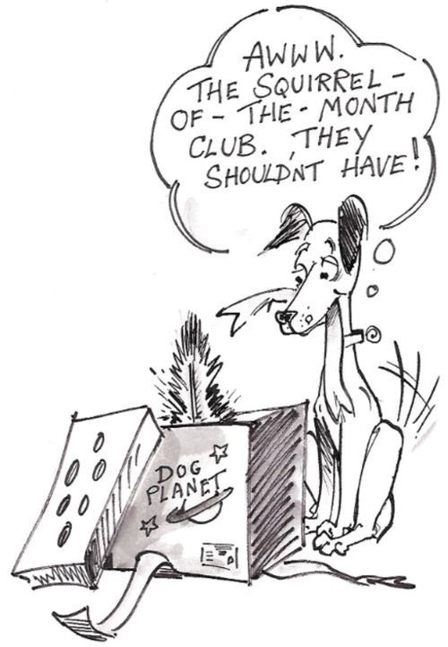 'Awww. The Squirrel-Of-The-Month Club. They shouldn't have!'