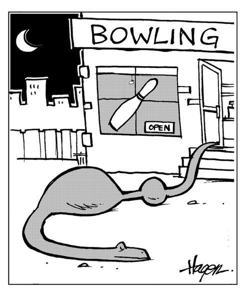 Snake leaving Bowling Alley.