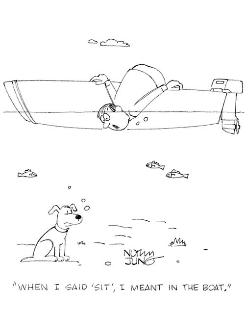 'When I said 'sit', I meant in the boat.'