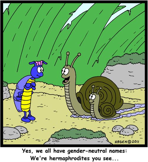 'Yes, we all have gendre-neutral names: We're hermaphrodites you see...'