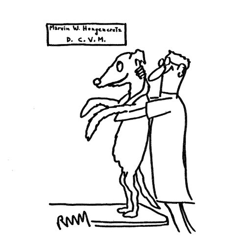Chiropractor and Veterinarian.