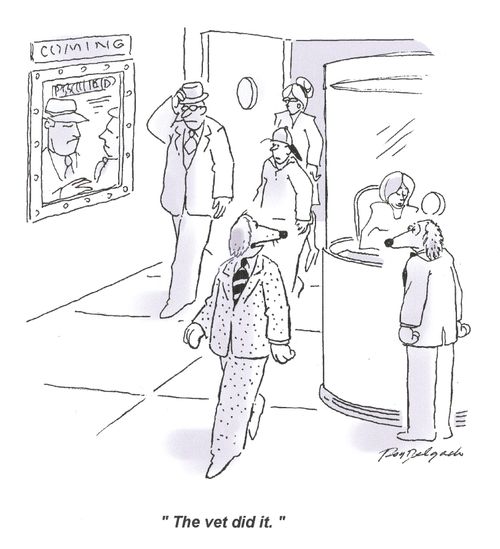 'The vet did it.'