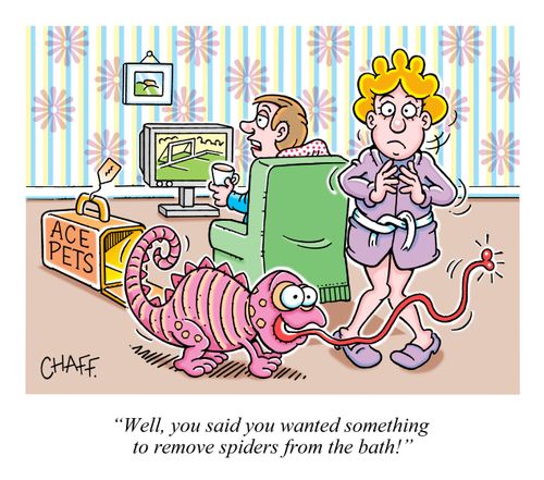 "Well, you said you wanted something to remove spiders from the bath!"