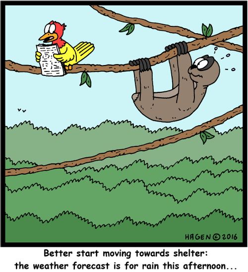 "Better start moving towards shelter: the weather forecast is for rain this afternoon..."