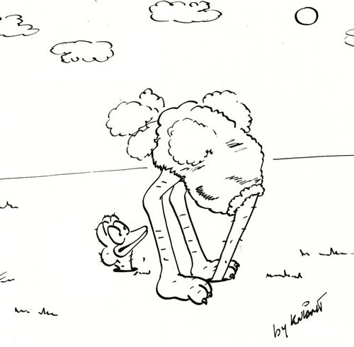 Ostrich with head in sand.