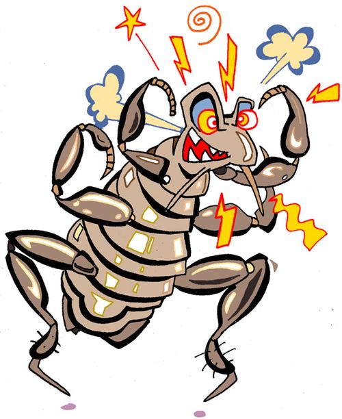 Angry ant.
