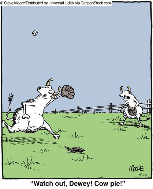 'Watch out, Dewey! Cow pie!'
