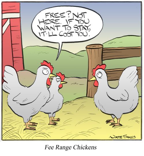 Fee Range Chickens