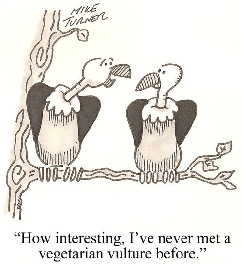 "How interesting, I've never met a vegetarian vulture before."