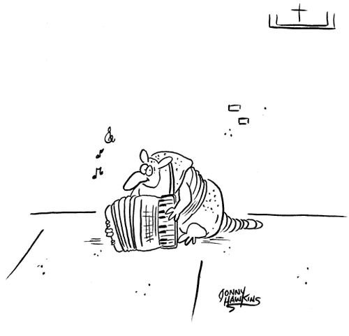 Armadillo playing accordion.