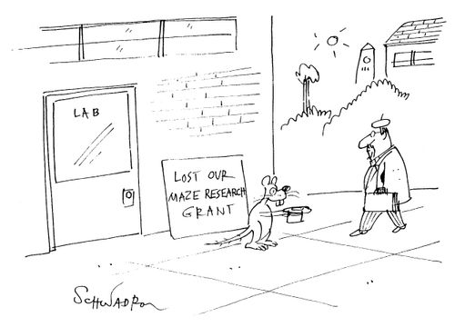 'Lost our maze research grant'