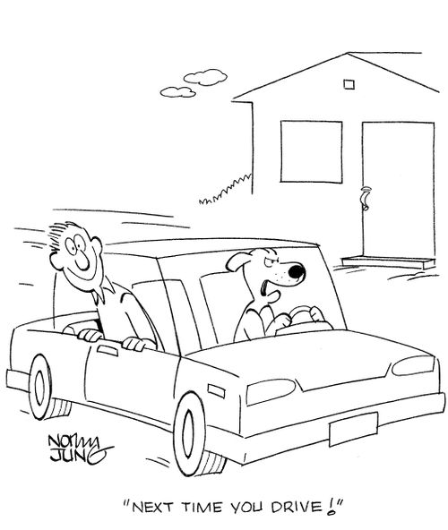 'Next time you drive!'