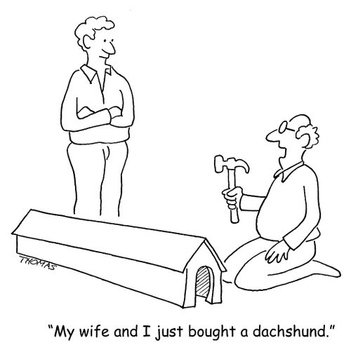 'My wife and I just bought a dachshund.'