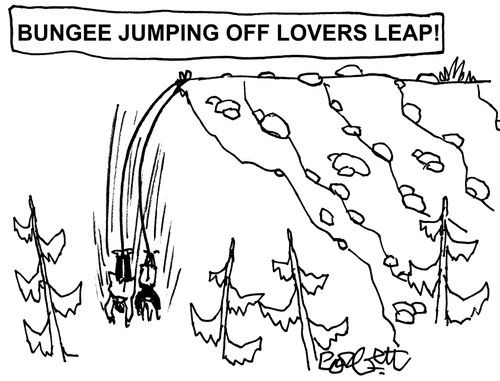 Bungee Jumping off Lover's Leap!