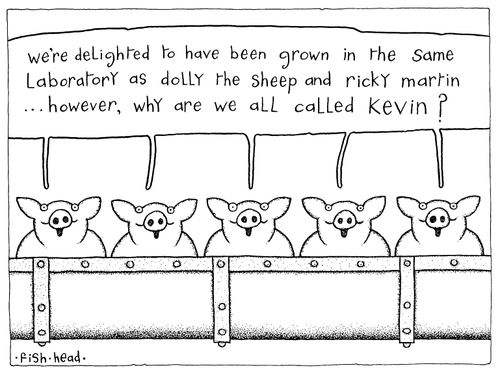 "We're delighted to have been grown in the same laboratory as dolly the sheep and Ricky Martin..However, why are we all called Kevin?"
