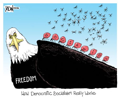 How Democratic Socialism Really Works