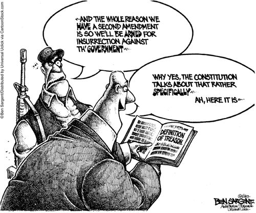 'And the whole reason we have a second amendment is so we'll be armed for the insurrection against the government...'