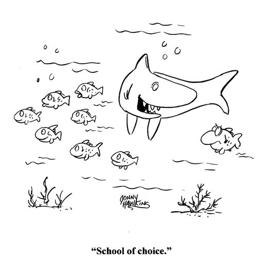 Shark to fish about school of fish: 'School of choice.'