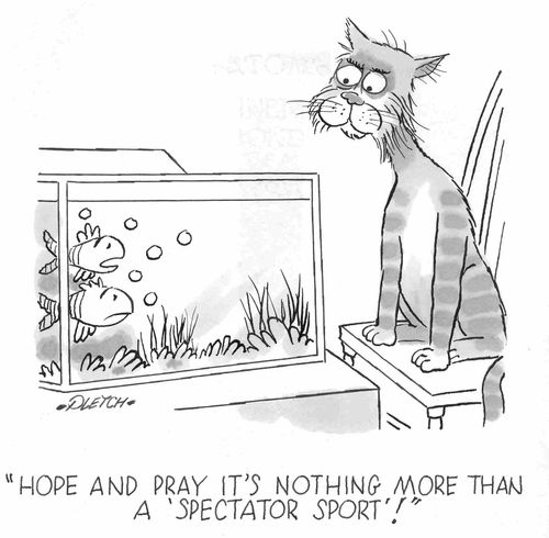 Hope and pray it's nothing more than a 'Spectator Sport'!'