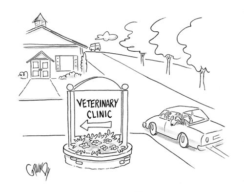 Dog hides eyes as car turns into vet clinic.
