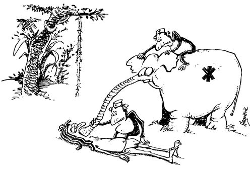 Monkeys giving injured jungle man mouth to mouth via an ambulance elephant