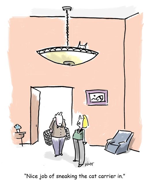 'Nice job of sneaking the cat carrier in.'