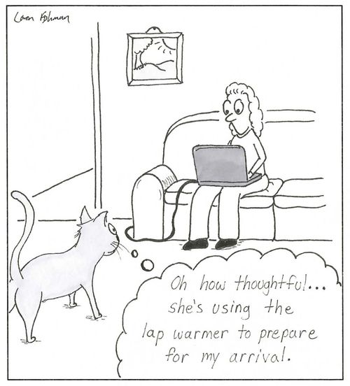'Oh how thoughtful...she's using the lap warmer to prepare for my arrival.'