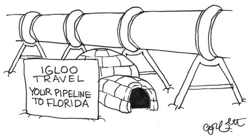 Igloo travel: Your pipeline to Florida.
