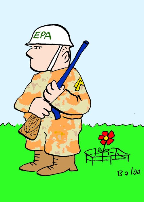 EPA Guards Flower