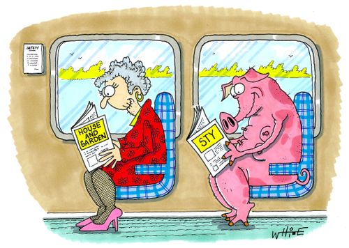 Pig Reading Sty Magazine.