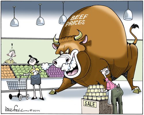 Beef Prices