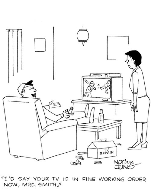 'I'd say your TV is in fine working order now, Mrs. Smith.'