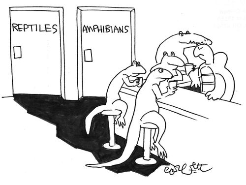 Reptiles and amphibians.