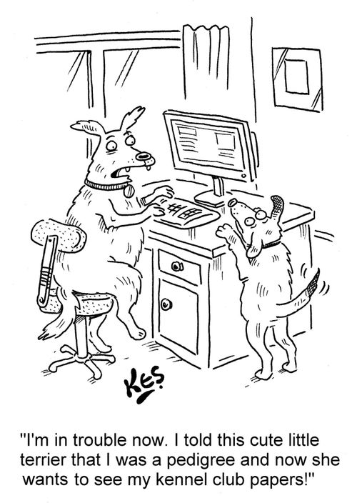 'I'm in trouble now, I told this cute little terrier that I was a pedigree and now she wants to see my kennel club papers'