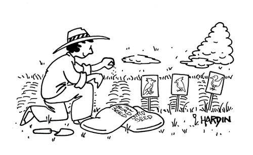 Planting Bird Seed.