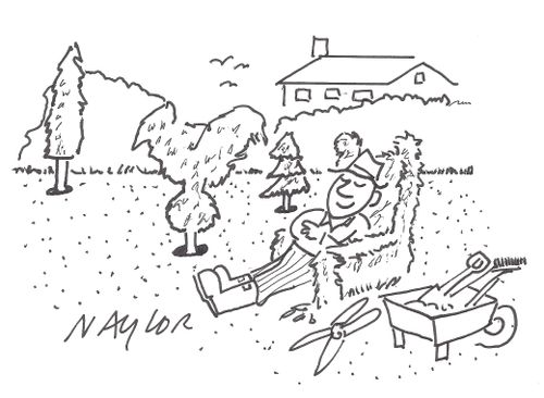 Topiary chair.