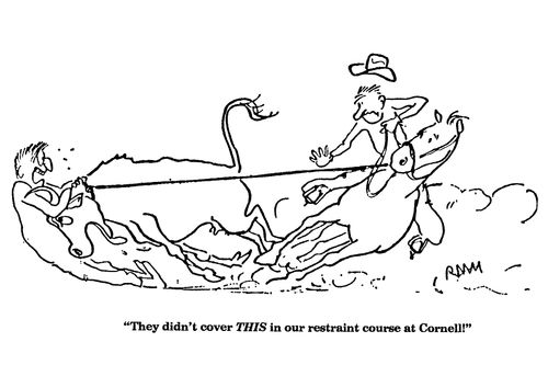 'They didn't cover THIS in our restraint course at Cornell!'